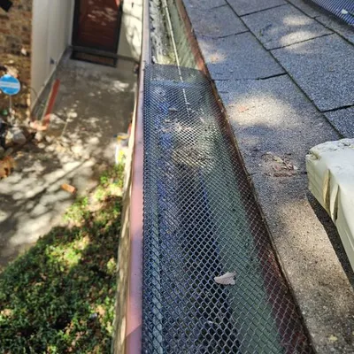 Complete Exterior Siding & Gutter Repair — gallery image 2