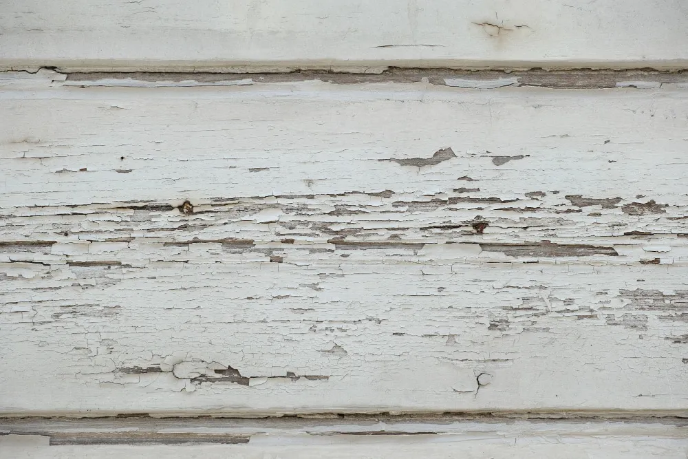Signs of siding wear and tear, indicating it’s time to replace siding.