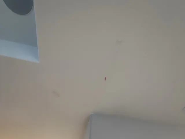 Ceiling Crack Repair