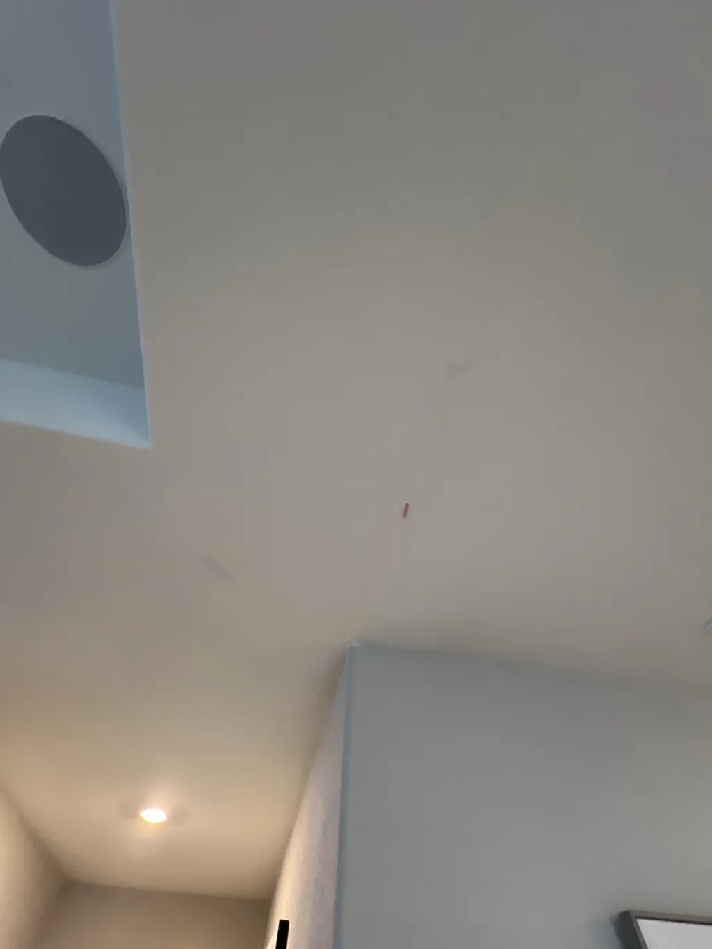 Ceiling Crack Repair