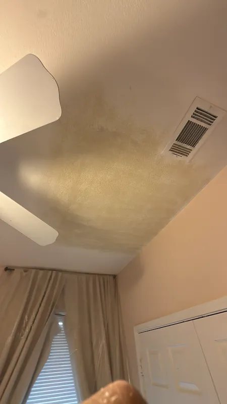 Ceiling Drywall Patch & Texture Repair