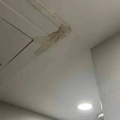 Ceiling Drywall Repair — gallery image 1