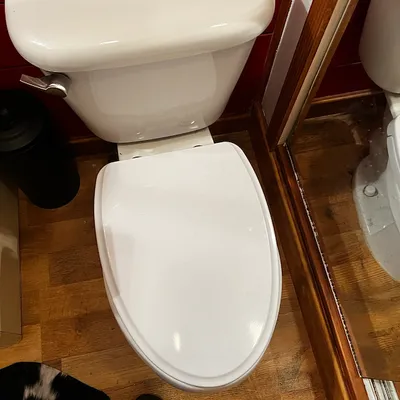Toilet Seat & Bidet Installation — gallery image 1