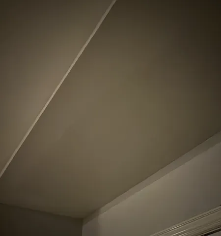 Ceiling Drywall Repair & Paint