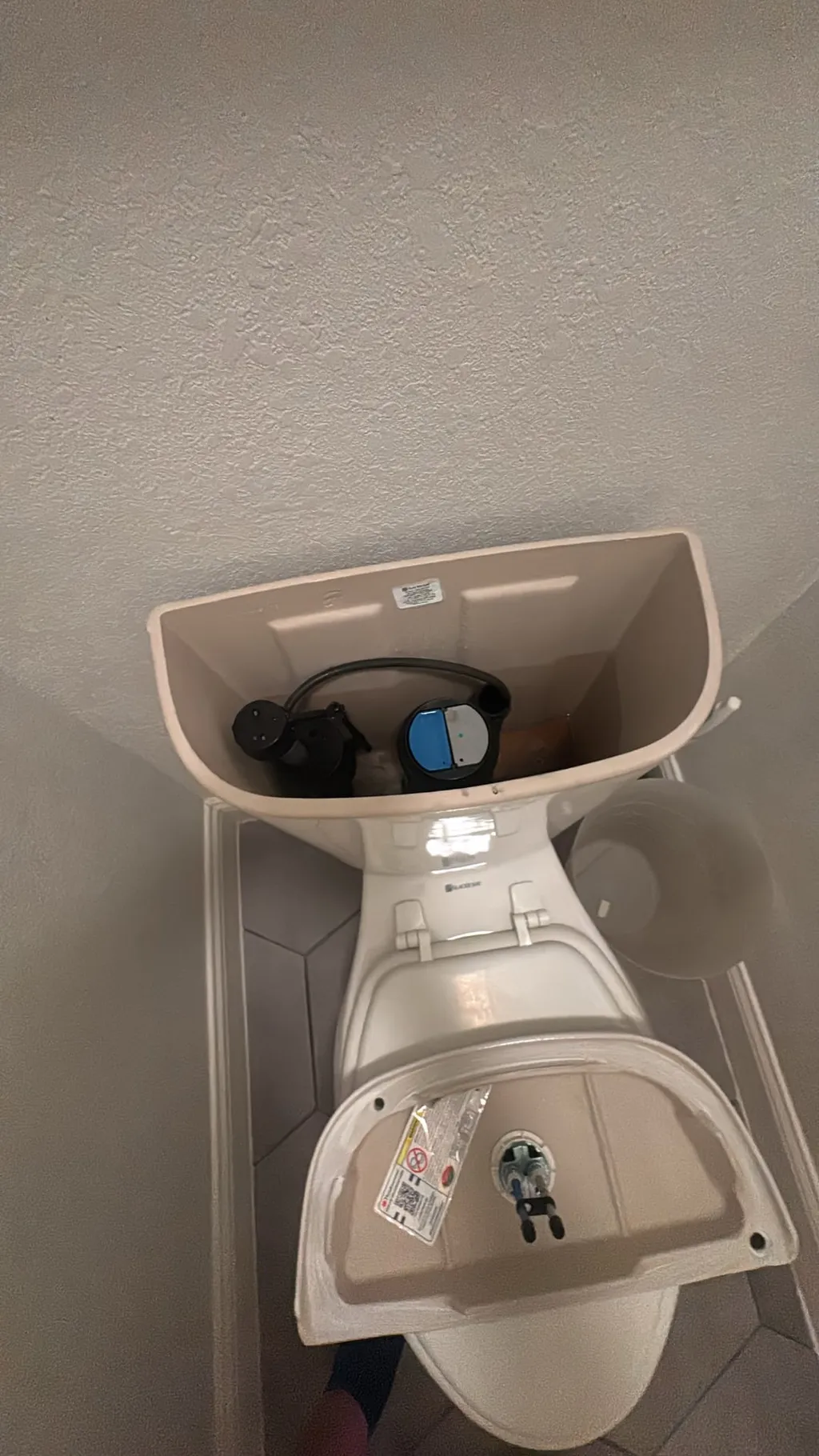 Toilet Shutoff Valve Replacement