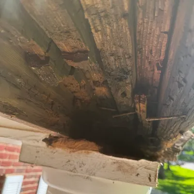 Exterior Trim Replacement — gallery image 1