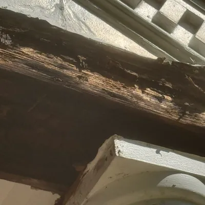 Exterior Trim Replacement — gallery image 2