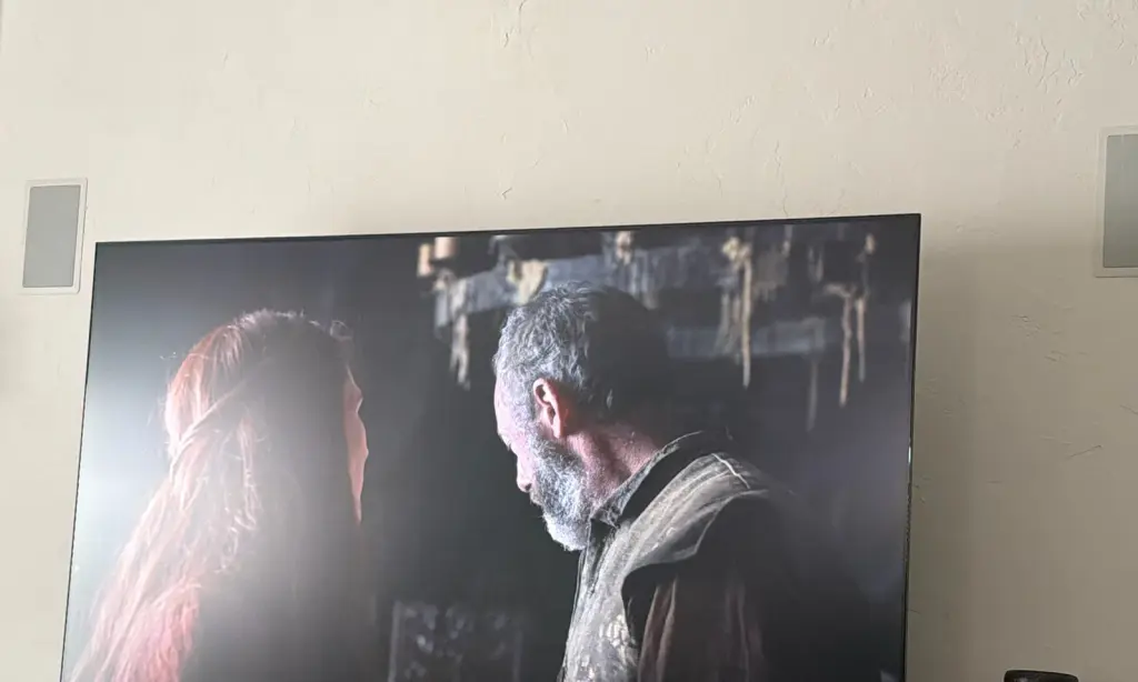 Living Room TV Mounting