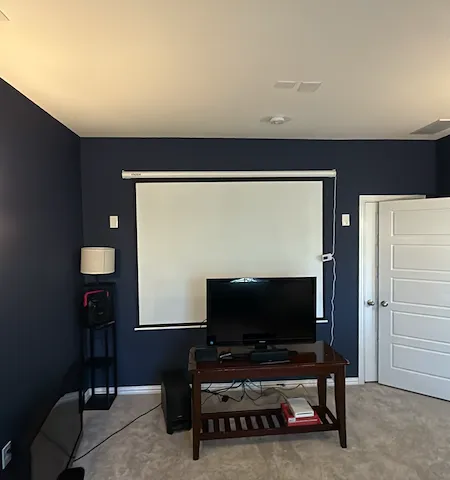 TV Mounting, Plumbing Repair & Projector Install
