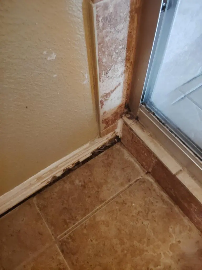 Shower Caulk Replacement