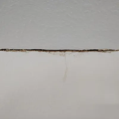 Drywall and Brick Repair — gallery image 4